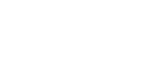 cambium