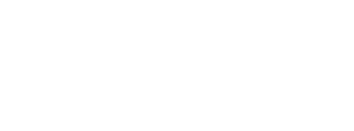 fluke